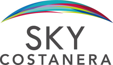 Logo Sky Gris